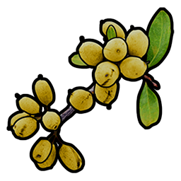 yellow.berry.png