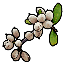 white.berry.png