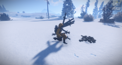 Billy the Porcupine 2