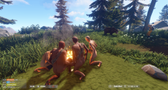 Survival photo shoot 2