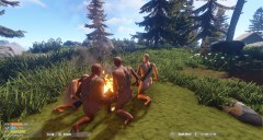 Survival photo shoot 3