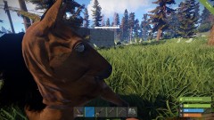 Dead BoJack Horseman.jpg