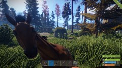 What Up BoJack Horseman.jpg