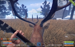 Riding a deer while playing guitar this is what Rust is all about.