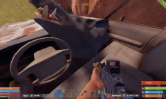 little piggy want a ride.JPG