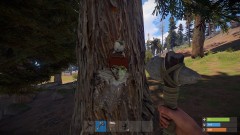 When 'Death' is lurking