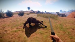 Fucked up Horse Wipe_10_4_17.jpg