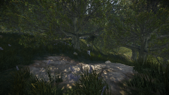 Pure Hogwarts event 7