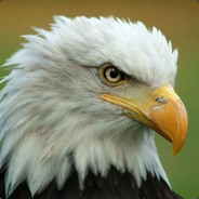 Eaglehead