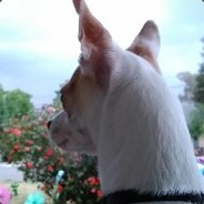 Roughshaggy52
