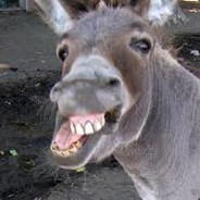 Darkmule01