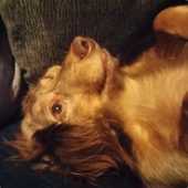 Nettie