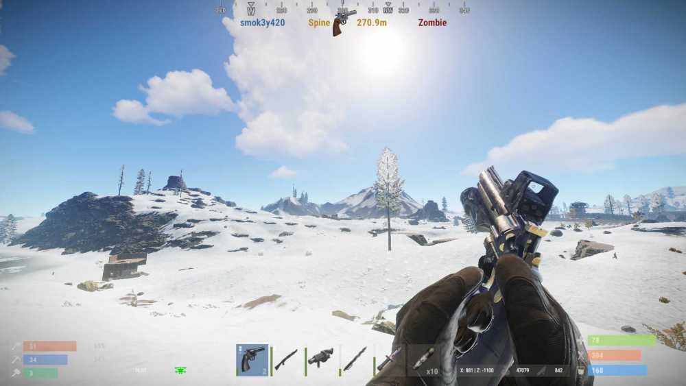 270m python spine.jpg