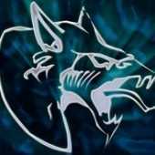 dragonzz