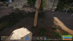 Treasure Hunting on Survival