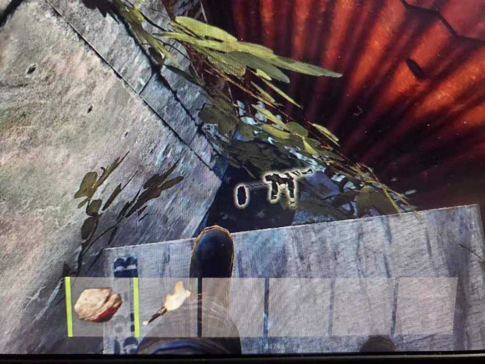 WeChat Image_20200119060827.jpg