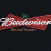 BudMakesMeWiser