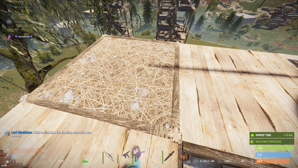 bug 1.png