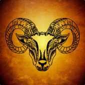 Rygoat