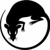 TheInformant