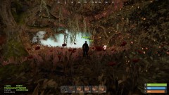 Charitable Rust 2020