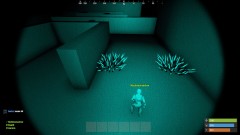 Charitable Rust 2020