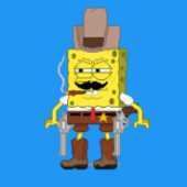 Sponge