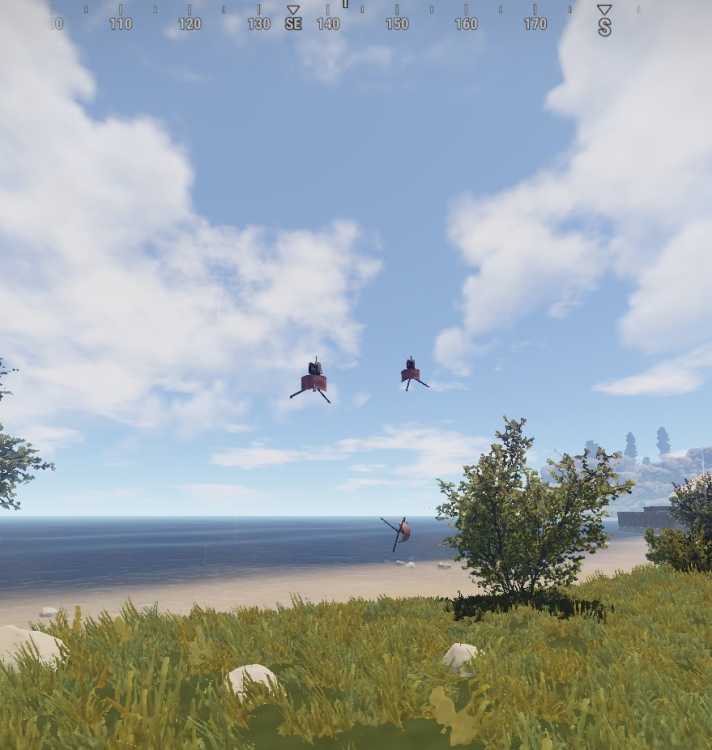 Garrison Bug.jpg