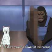 KSOgorilla