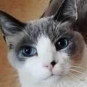 Nunie