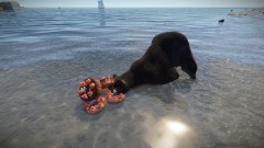 Happy Birthday Ded Bear!