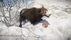 Happy Birthday Bear #1