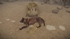 May 2021 Screenshot Contest