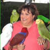 Bird Lover