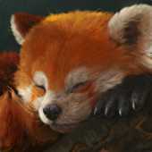 MrSnuggle