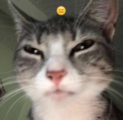 74e882c9ca0aaad015af5e77b191aa05