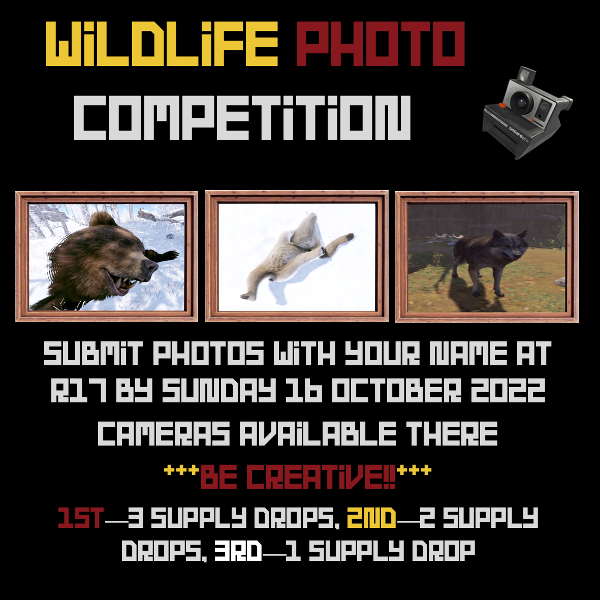 AU Pure Wildlife Photo Competition