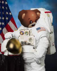 pookie astronaut