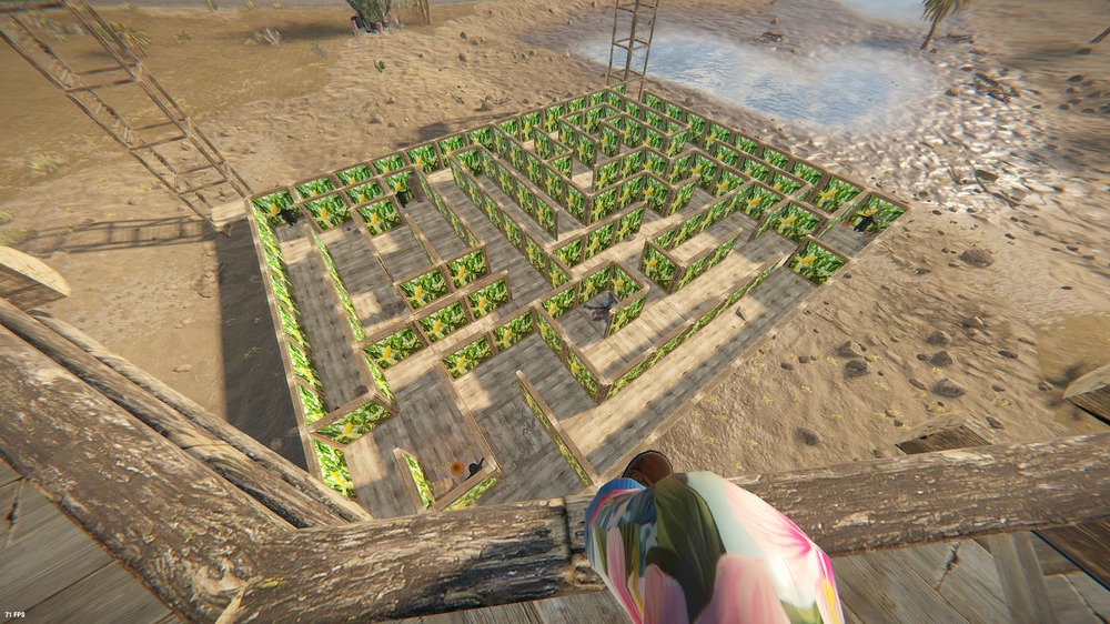 corn maze 2.png