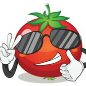 Tomatoes