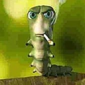 Squezzy