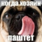 FallOUT