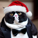 FatCatTuxedo