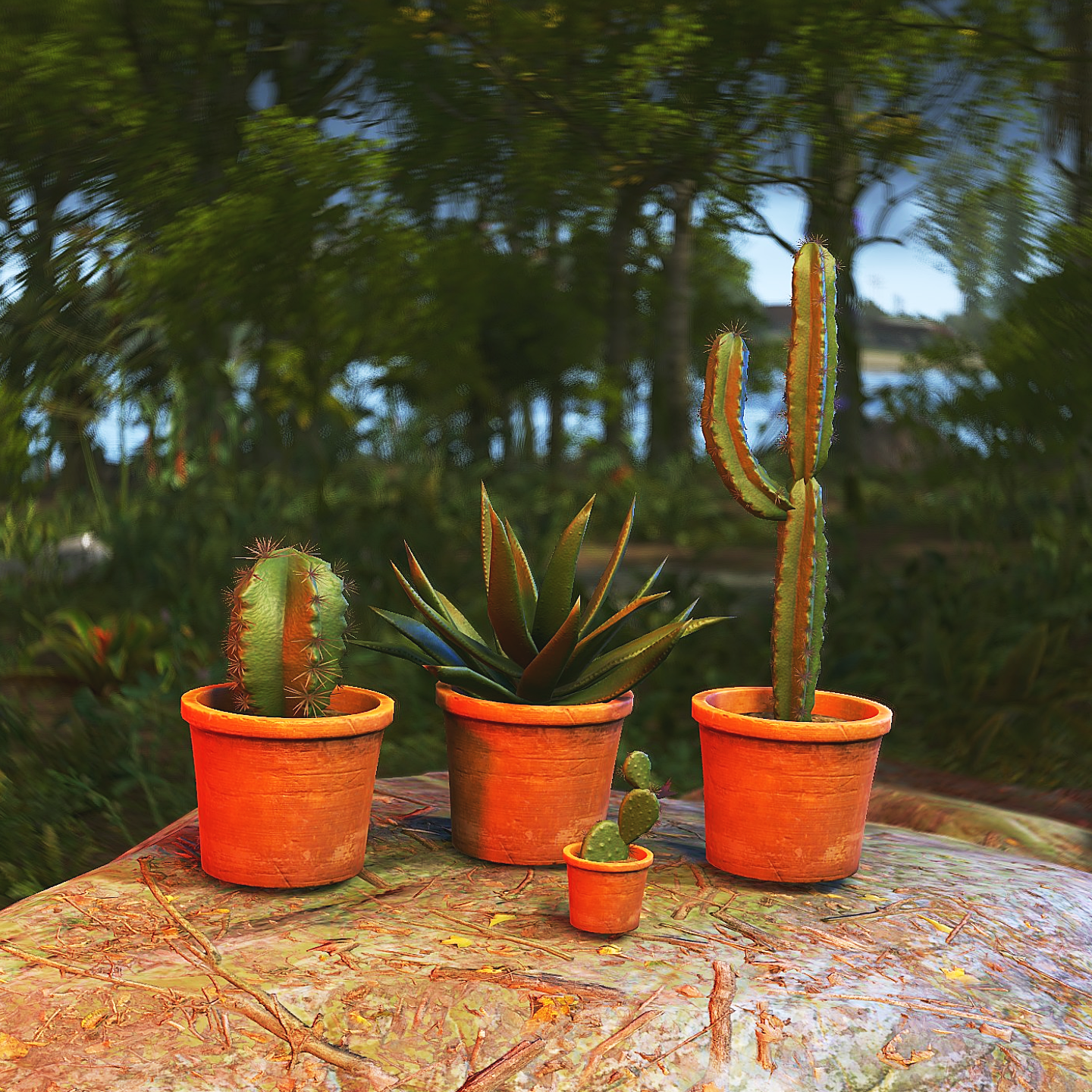 More information about "Cactus Pack"