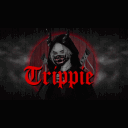 8080Trippie