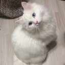 timborgenandersen040509