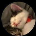 timborgenandersen040509