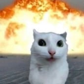 あなたはうんこです