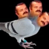 Chintox
