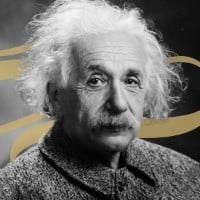 THE EINSTEIN ARMY